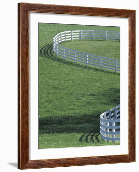 White Fence on Horse Farm, Lexington, Kentucky, USA-Adam Jones-Framed Photographic Print