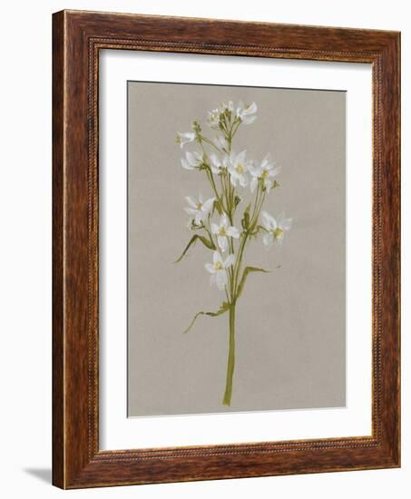 White Field Flowers I-Jennifer Goldberger-Framed Art Print