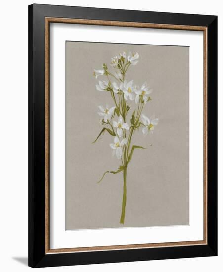 White Field Flowers I-Jennifer Goldberger-Framed Art Print