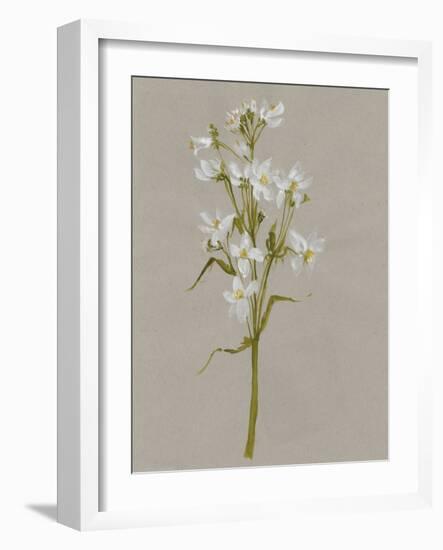 White Field Flowers I-Jennifer Goldberger-Framed Art Print