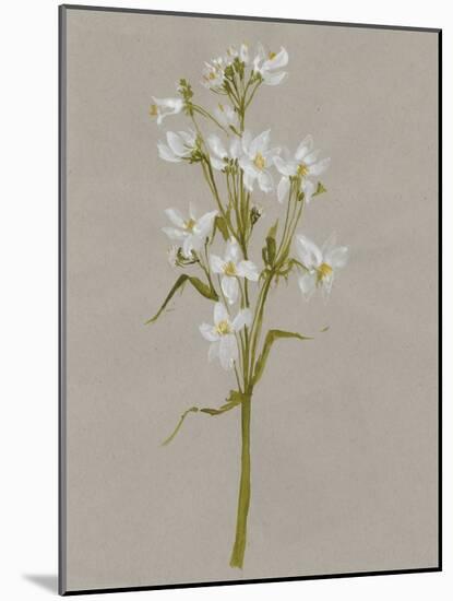 White Field Flowers I-Jennifer Goldberger-Mounted Art Print