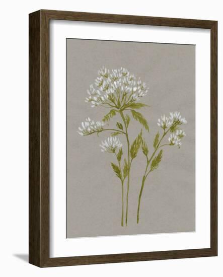 White Field Flowers IV-Jennifer Goldberger-Framed Art Print