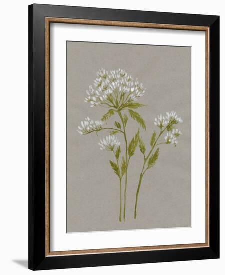 White Field Flowers IV-Jennifer Goldberger-Framed Art Print