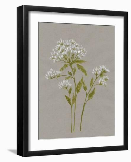 White Field Flowers IV-Jennifer Goldberger-Framed Art Print