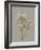 White Field Flowers IV-Jennifer Goldberger-Framed Art Print