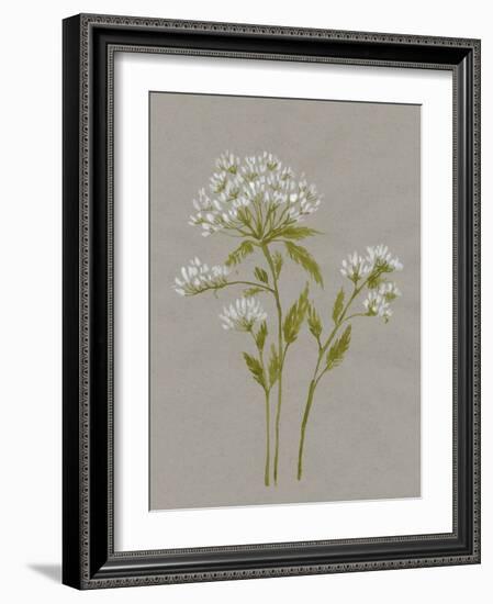 White Field Flowers IV-Jennifer Goldberger-Framed Art Print