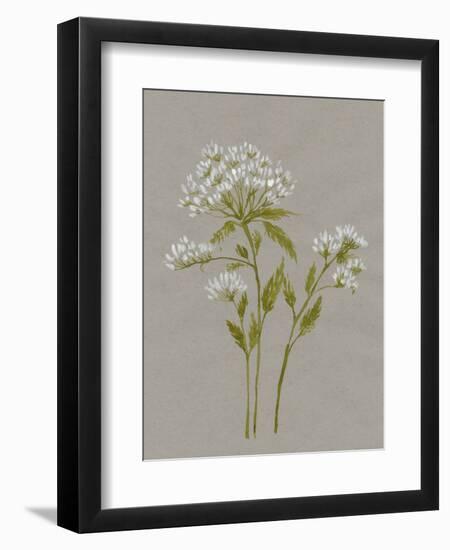 White Field Flowers IV-Jennifer Goldberger-Framed Premium Giclee Print