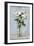 White Floral Arrangement I-Ethan Harper-Framed Art Print