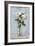 White Floral Arrangement I-Ethan Harper-Framed Art Print