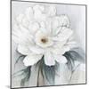 White Floral Bloom I-Asia Jensen-Mounted Art Print