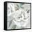 White Floral II-Aria K-Framed Stretched Canvas