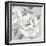 White Floral II-Aria K-Framed Art Print