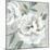 White Floral II-Aria K-Mounted Art Print