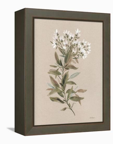 White Floral Stem I-Carol Robinson-Framed Stretched Canvas