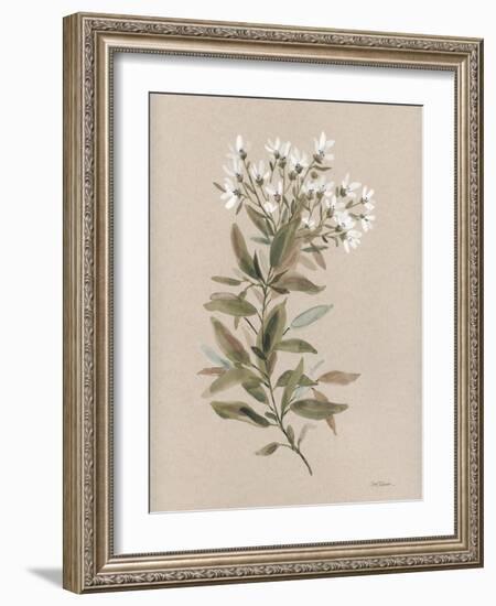 White Floral Stem I-Carol Robinson-Framed Art Print