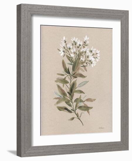 White Floral Stem I-Carol Robinson-Framed Art Print