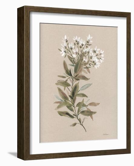 White Floral Stem I-Carol Robinson-Framed Art Print