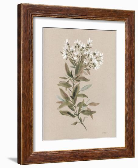 White Floral Stem I-Carol Robinson-Framed Art Print