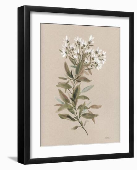 White Floral Stem I-Carol Robinson-Framed Art Print