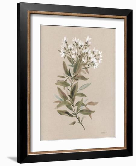 White Floral Stem I-Carol Robinson-Framed Art Print