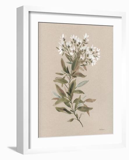 White Floral Stem I-Carol Robinson-Framed Art Print