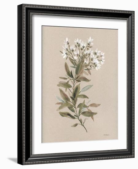 White Floral Stem I-Carol Robinson-Framed Art Print