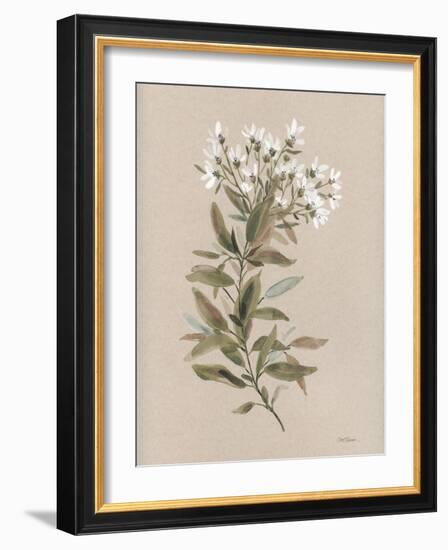 White Floral Stem I-Carol Robinson-Framed Art Print