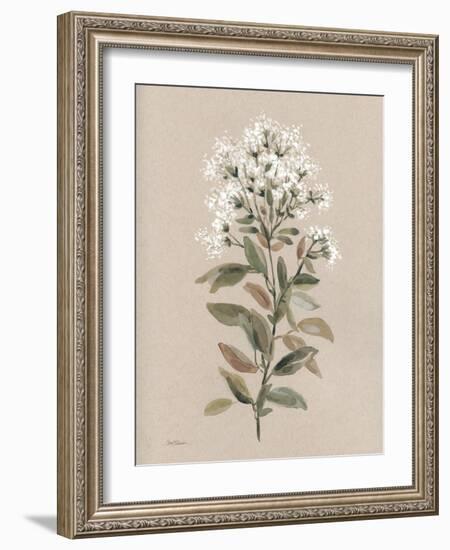 White Floral Stem II-Carol Robinson-Framed Art Print