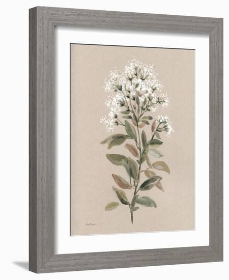 White Floral Stem II-Carol Robinson-Framed Art Print