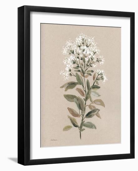 White Floral Stem II-Carol Robinson-Framed Art Print