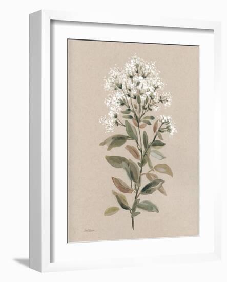 White Floral Stem II-Carol Robinson-Framed Art Print