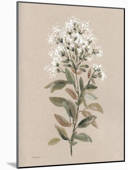 White Floral Stem II-Carol Robinson-Mounted Art Print