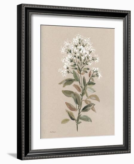 White Floral Stem II-Carol Robinson-Framed Art Print