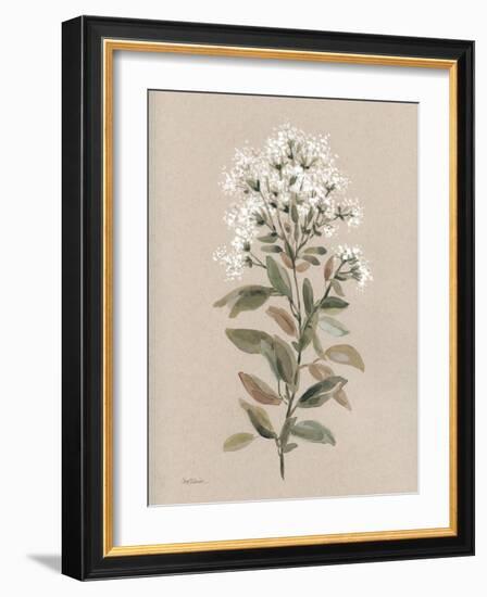 White Floral Stem II-Carol Robinson-Framed Art Print