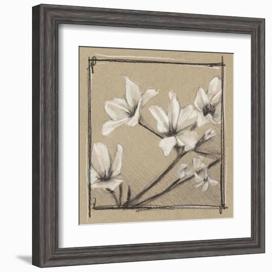 White Floral Study I-Ethan Harper-Framed Art Print