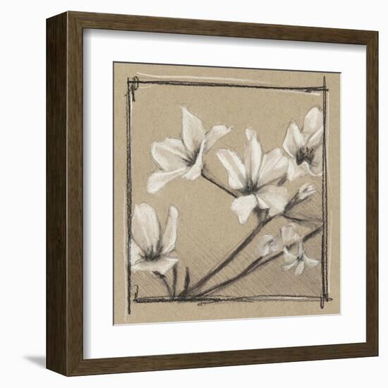 White Floral Study I-Ethan Harper-Framed Art Print