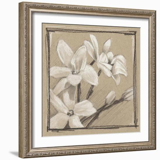 White Floral Study III-Ethan Harper-Framed Art Print