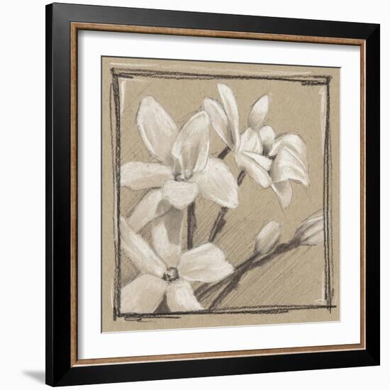 White Floral Study III-Ethan Harper-Framed Art Print