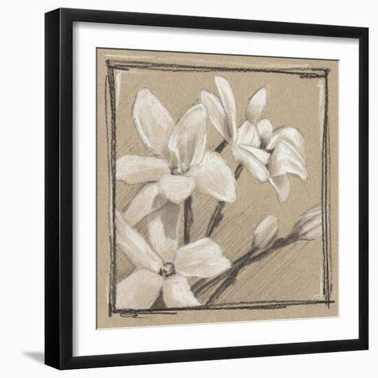 White Floral Study III-Ethan Harper-Framed Art Print