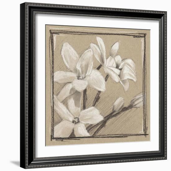 White Floral Study III-Ethan Harper-Framed Art Print
