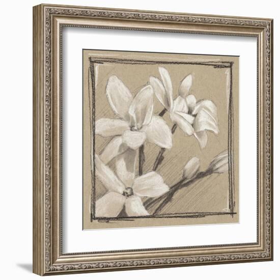 White Floral Study III-Ethan Harper-Framed Art Print