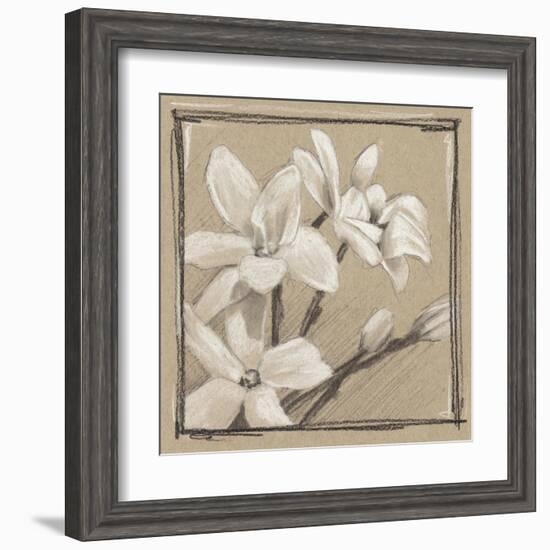 White Floral Study III-Ethan Harper-Framed Art Print