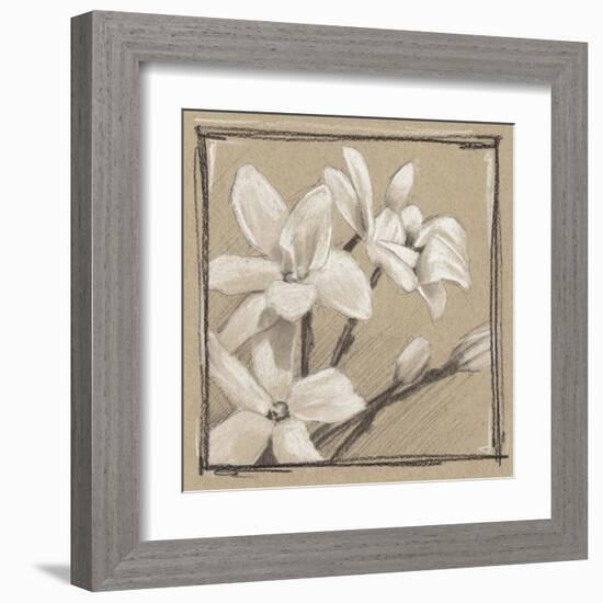 White Floral Study III-Ethan Harper-Framed Art Print