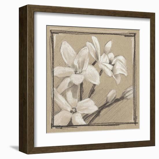 White Floral Study III-Ethan Harper-Framed Art Print