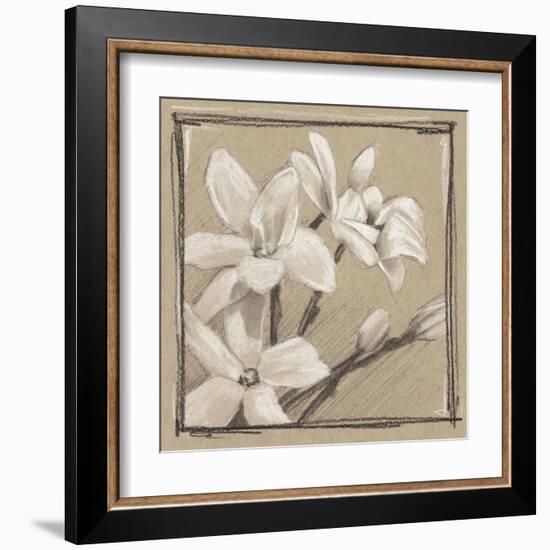 White Floral Study III-Ethan Harper-Framed Art Print