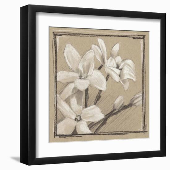 White Floral Study III-Ethan Harper-Framed Art Print