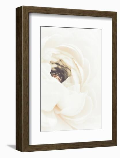 White Flower 01-1x Studio III-Framed Photographic Print