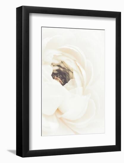 White Flower 01-1x Studio III-Framed Photographic Print