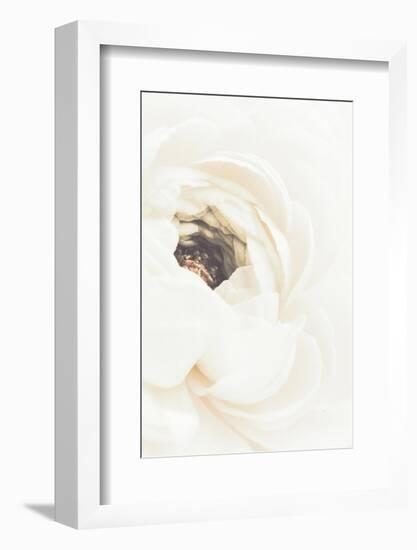 White Flower 01-1x Studio III-Framed Photographic Print