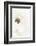 White Flower 01-1x Studio III-Framed Photographic Print